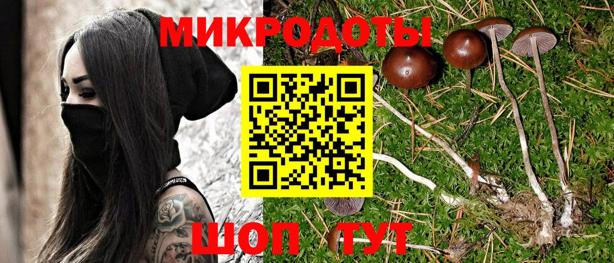 Дедовск  Псилоцибиновые грибы мицелий  Вход с VPN 