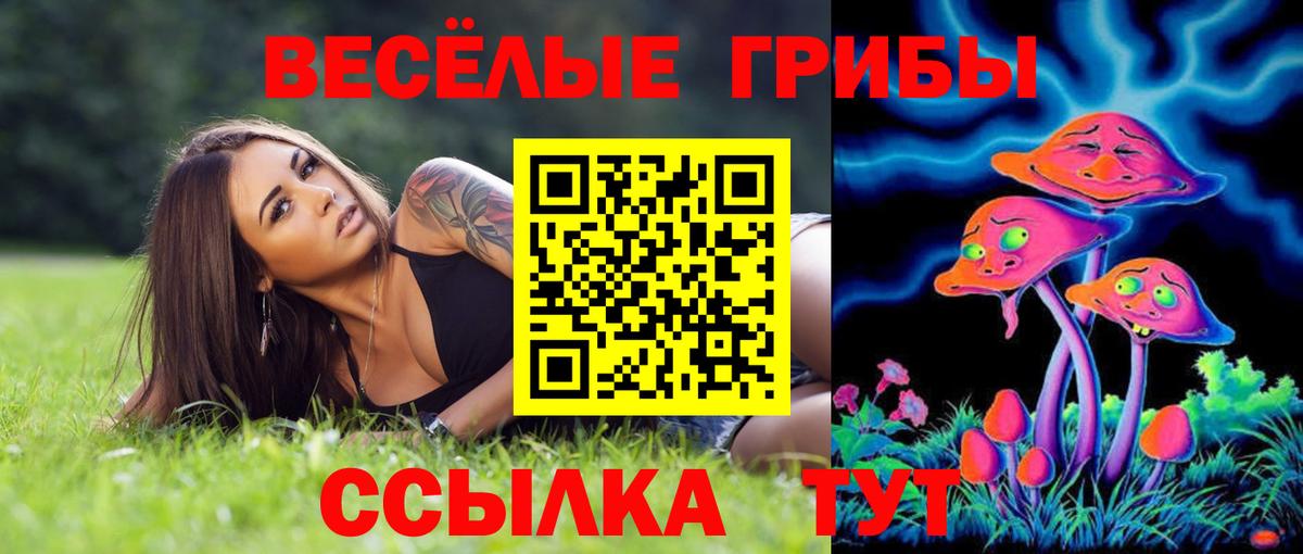 Псилоцибиновые грибы Psilocybe Дедовск